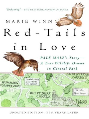 cover image of Red-Tails in Love
